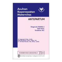 Image of Asuhan Keperawatan Maternitas Diagnosis NANDA-I, Hasil NOC, Tindakan NIC: Antepartum