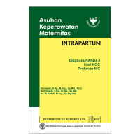 Image of Asuhan Keperawatan Maternitas Diagnosis NANDA-I, Hasil NOC, Tindakan NIC: Intrapartum