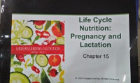 Image of Understanding Nutrition : Life Cycle Nutrition; Pregnancy and Lactation chapter 15