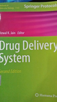 Image of Drug Delivery System