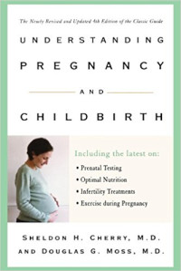 Image of Understanding Pregnancy and Childbirth